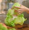 Saiba quais são os tipos de alface para utilizar na cozinha  Foto: Shutterstock / Alto Astral