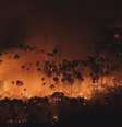 Fogo atinge a Floresta Nacional de Brasília (DF)  Foto: TV Globo/Reprodução / Perfil Brasil