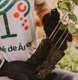 Startup Meu Pé de Árvore nasceu em Rondônia, na região da Amazônia.  Foto: Puré Juma/Divulgação/Meu Pé de Árvore / Estadão