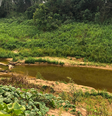Amazônia pode ter seca histórica em 2024  Foto: Adrielle Farias/Terra