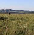 Chapada dos Veadeiros é uma das principais áreas de preservação do cerrado  Foto: DW / Deutsche Welle