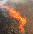 Queimadas avançam pelo Parque Nacional da Chapada dos Guimarães, em Mato Grosso. Região é próxima de resort onde ministros da agricultura do G20 estão reunidos  Foto: Cipaer-MT / BBC News Brasil