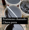Fenômeno da chuva preta chamou a atenção de moradora  Foto: Reprodução/Instagram