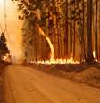 Incêndio atinge o Pico das Cabras, em Campinas  Foto: Estadão Conteúdo/LEANDRO FERREIRA