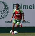Richard Ríos em trabalho regenerativo no Palmeiras.  Foto: Cesar Greco/Palmeira / Jogada10