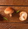 Alimentação para combater a ansiedade / Foto: Shutterstock  Foto: Saúde em Dia