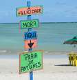 Praia de Antunes em Maragogi, Alagoas  Foto: Marco Ankosqui / banco de imagens MTur Destinos 