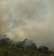 Incêndio em mata na cidade de Mairiporã, em SP  Foto: Daniel Teixeira/Estadão - 12/09/2024 / Estadão