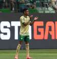  Foto: Cesar Greco/Palmeiras - Legenda: Estêvão também deixou o dele em goleada do Palmeiras / Jogada10