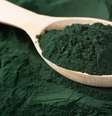 Principais benefícios da spirulina  Foto: Shutterstock / Sport Life