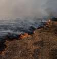Incêndio queima vegetação do Cerrado brasileiro  Foto: Getty Images / BBC News Brasil