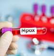 A mpox é uma doença viral transmitida por contato direto com lesões ou superfícies contaminadas  Foto: QINQIE99 | Shutterstock / Portal EdiCase