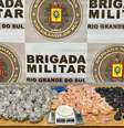  Foto: Divulgação / Brigada Militar / Comunicação Social do 15º BPM / Porto Alegre 24 horas