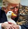 Donald Trump e seu candidato a vice, J.D. Vance, propagaram a ideia de que imigrantes haitianos estavam roubando e comendo pets na cidade  Foto: Reprodução / Instagram / Perfil Brasil