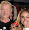 Você sabia? Ex-paquita que dirigiu documentário do Globoplay também foi diretora de novelas famosas na TV Globo.  Foto: Divulgação, TV Globo / Purepeople