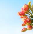 Primavera contará com calor mais moderado e úmido  Foto: Pixabay/Konevi / Bons Fluidos