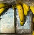 Quase 100 kg de cocaína são encontradas em meio a caixas de bananas na Alemanha. Suspeita é que droga tenha vindo da América do Sul  Foto: DW / Deutsche Welle