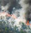 Calor, seca e riscos de incêndio estão aumentando na América do Sul, de acordo com estudo  Foto: Reprodução/Getty Images