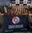 Polícia Militar de SC realiza operação contra "turismo de caça"  Foto: Divulgação/PMSC