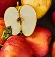Descubra como conservar frutas e vegetais  Foto: Shutterastock / Alto Astral