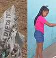 O terreno onde a cadela foi encontrada fica em frente à casa da família de Juliana e Ana Clara  Foto: Reprodução/TV Anhanguera