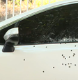 Empresário é morto a tiros dentro de carro blindado no RJ  Foto: Reprodução/TV Globo