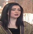 Jornalista Safaa Ahmad morreu em ataque de Israel  Foto: Reprodução/Youtube Oneindia