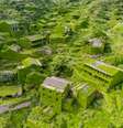 A natureza se instalou quando as pessoas deixaram a vila de pescadores de Houtouwan, em Zhejiang, Chinac Joe Nafis/Shutterstock  Foto: The Conversation