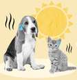 Altas temperaturas exigem cuidados especiais com os animais  Foto: N Universe | Shutterstock / Portal EdiCase