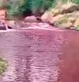 Rio no Paraná fica vermelho após produto atingir tubulação de água  Foto: Reprodução/ A Gazeta Web/ Facebook