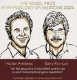 Victor Ambros e Gary Ruvkun são os ganhadores do Prêmio Nobel 2024 em Medicina.  Foto: Reprodução/Instagram/nobelprize_org / Estadão