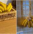 Entenda por que a banana pendurada demora mais para amadurecer  Foto: Reprodução/Instagram/@ jhennykeller