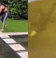Após passagem de furacão, Anitta encontra animal dentro da piscina de sua casa  Foto: Reprodução/Instagram/@anitta
