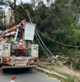 Enel afirma que pretende cumprir prazo de três dias para restaurar energia em SP  Foto: Divulgação/Enel Distribuição São Paulo