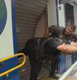Policiais precisaram arrombar porta de laboratório em Nova Iguaçu (RJ)  Foto: Reprodução/TV Globo