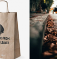 Startup ucraniana transforma folhas em embalagens biodegradáveis   Foto: Reprodução/Montagem