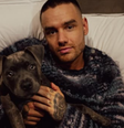 Liam Payne morreu na noite de quarta-feira, 16, ao cair do terceiro andar de um hotel na Argentina  Foto: Reprodução/Instagram/@liampayne