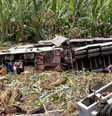 Acidente com trio elétrico deixa três pessoas mortas  Foto: Reprodução/Redes Sociais
