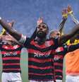 Flamengo na Final   Foto: Ettore Chiereguini/AGIF / Esporte News Mundo