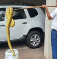 Sucuri de quase 2 metros é encontrada na rua  Foto: Divulgação/IAT