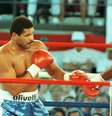 Maguila em confronto com Evander Holyfield  Foto: Estadão Conteúdo