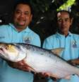 Pesquisadores mostram o peixe 'fantasma'  Foto: Reprodução/University of Nevada