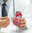 Saúde cardiovascular em dia  Foto: Shutterstock / Sport Life