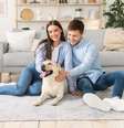 As características de alguns cães são ideais para tutores de primeira viagem  Foto: Prostock-studio | Shutterstock / Portal EdiCase
