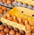 Veja como escolher ovos no mercado  Foto: Shutterstock / Alto Astral