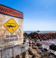 Tubarão atacou surfista no Havaí  Foto: Getty Images/Matthew Micah Wright