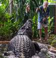 George Craig alimenta o maior crocodilo em cativeiro do mundo, Cassius, no Marineland Melanésia, na Ilha Verde, Grande Barreira de Corais, Cairns, Austrália  Foto: Brian Cassey via REUTERS