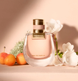 Nomade, de Chloé.  Foto: Divulgação