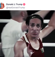 Em dia de eleição, Trump posta vídeo com fake news sobre lutadora argelina  Foto: Reprodução/Truth Social:@realDonaldTrump