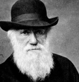 Naturalista britânico Charles Darwin  Foto: Getty Images